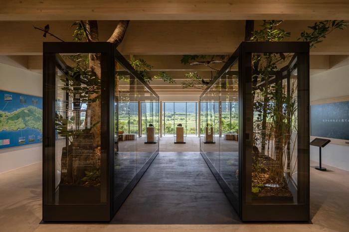 徳之島世界遺産センター いのちのにぎわい箱庭